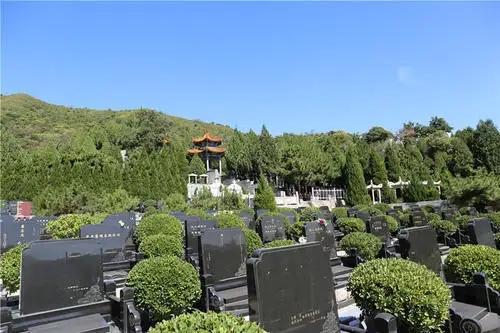 墓型介绍